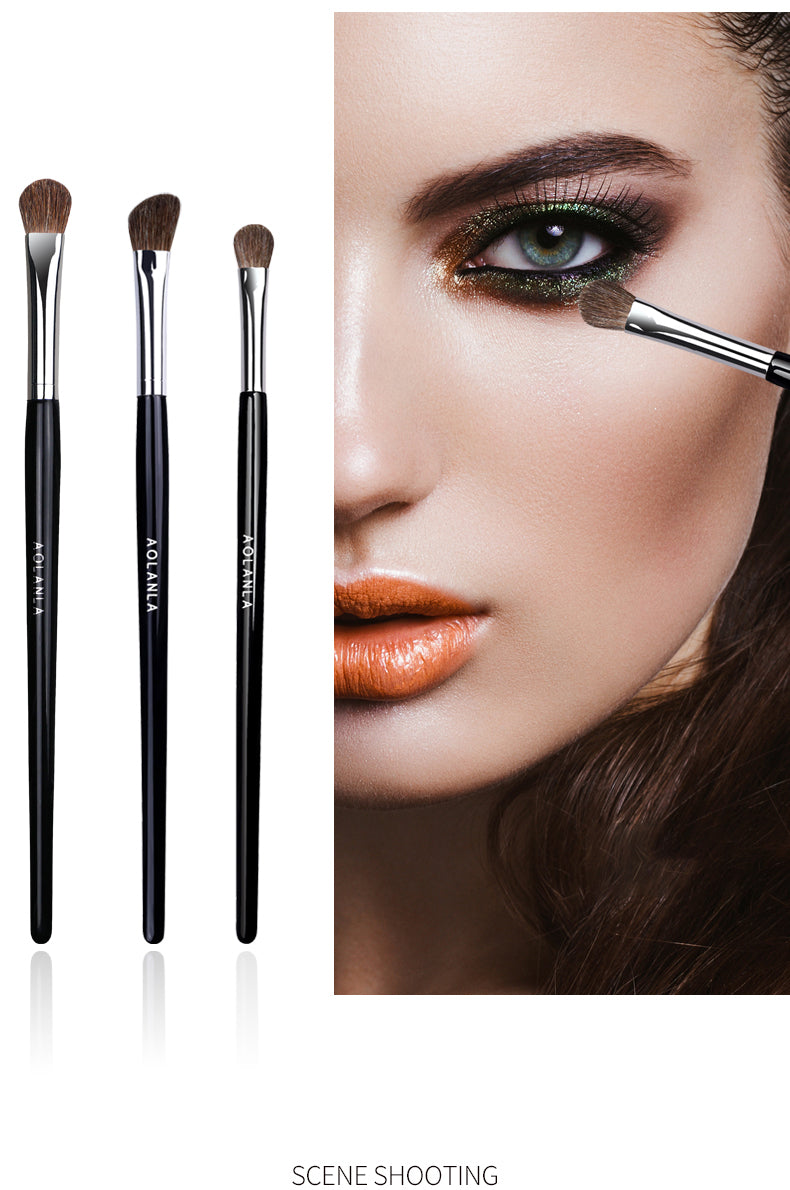 AOLANLA American professional master eye shadow brush set dizzy dye brush imported horse hair animal hair 3 sets of eye makeup brush portable makeup tool set